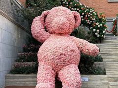 -Alimentari Mulino意大利餐吧&烘焙(丰盛里店)