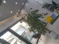 -简影造型·自选烫染接发salon