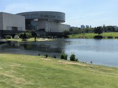 -洋湖国家湿地公园