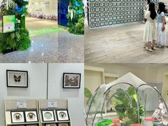-深圳龙华星河COCO City(民治店)