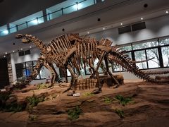 -自贡恐龙博物馆