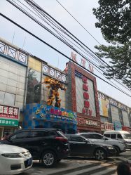 -爱丽丝奇幻乐园