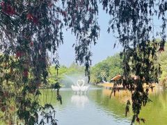 -深圳野生动物园