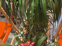 -老船舫·现做活鲜鱼馆(东郊记忆店)