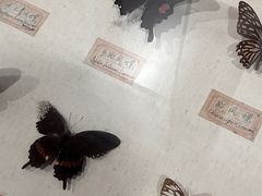 -珠海市博物馆