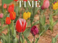 -郑州中国绿化博览园