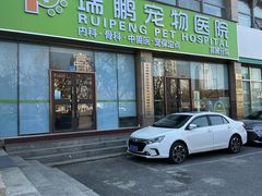 -瑞鹏宠物医院·内科·中兽医·骨科(苗圃店)