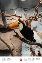 -Zoolung Zoolung动物主题公园(海信广场店)