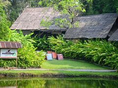 -大象粑粑造纸公园