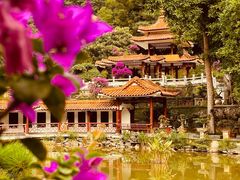 -深圳仙湖植物园