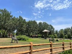 -大连森林动物园