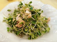 香椿拌双仁-功德林素菜饭庄(前门店)