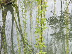 -柳鹭田园区