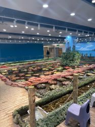 -钓虾工场·钓虾·赶海(回龙观店)