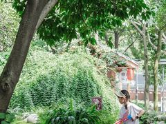 -成都市活水公园