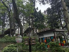 -莫干山风景区