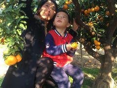 -斯坦星球AI编程·机器人科创·科学实验·信奥·思维·STEM·积木拼搭·竞赛考级(浦东联洋广场大拇指龙阳御桥中心)