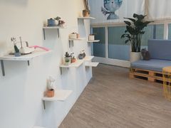 -有猫主题·治愈系猫咖(曾厝垵店)