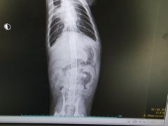 -康成宠物医院24H·CT·核磁共振