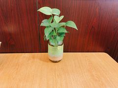 -小土豆北方菜馆(方庄店)