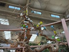 -南宫五洲植物乐园