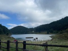 -武陵山森林公园