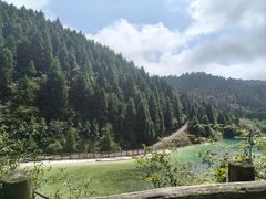 -武陵山森林公园