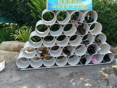 -平江亚马逊水上乐园