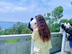 -广东惠东海龟国家级自然保护区