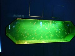 -老宅原住民沙茶面精品小吃(龙头路店)