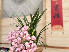 -九华山聚龙大酒店