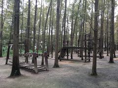 -同里国家湿地公园