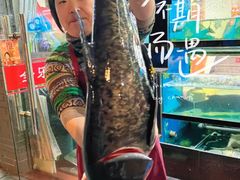 -全乐鱼馆·淳牌有机鱼直营店