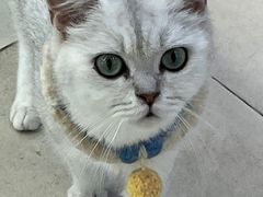 -怪兽屋·羊驼·猫咖·狗咖(俊华广场店)