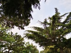 -东山宾馆自助餐厅