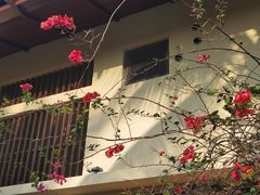 -三亚亚龙湾五号度假别墅酒店