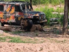 -北京野生动物园