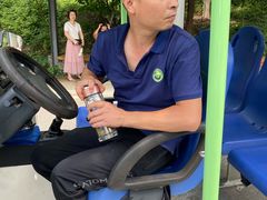 -都江堰中华大熊猫苑