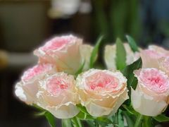 -第101座花园餐厅(湖滨88店)