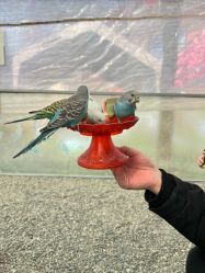 -萌宠亲子动物乐园(槐房万达店)