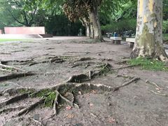 -上海市龙华烈士陵园