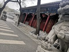 -北京第二实验小学