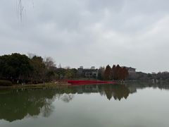 -青枫公园