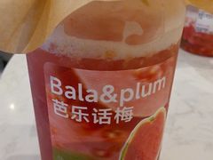 -無由 Tea pure(西津渡店)