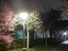 -长广溪湿地公园