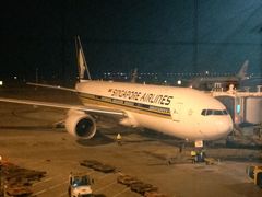 -新加坡航空公司(ION)