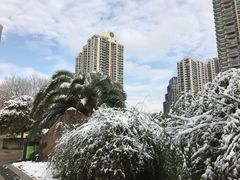 -苏州河梦清园环保主题公园