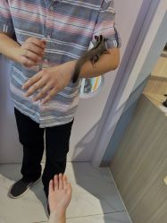 -Moni星球萌宠·小马宝莉·灵蛇·高端高阶全萌宠互动体验俱乐部(红豆国际广场店)