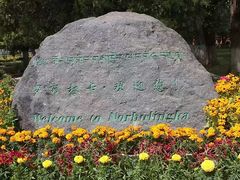 -罗布林卡