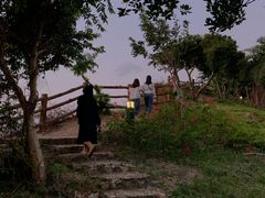 -杨梅坑